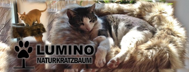 Lumino-Kratzbaum-manufaktur.de